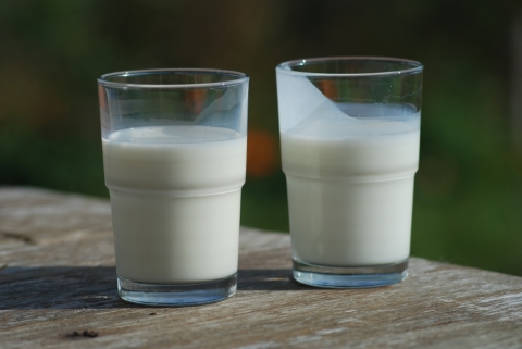 two glasses of milk