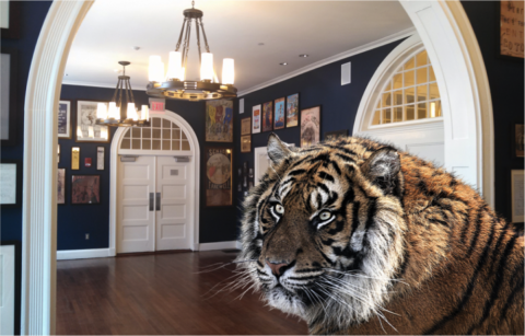 A tiger in Farkas Hall.