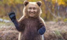 Greg Mankiw as a bear